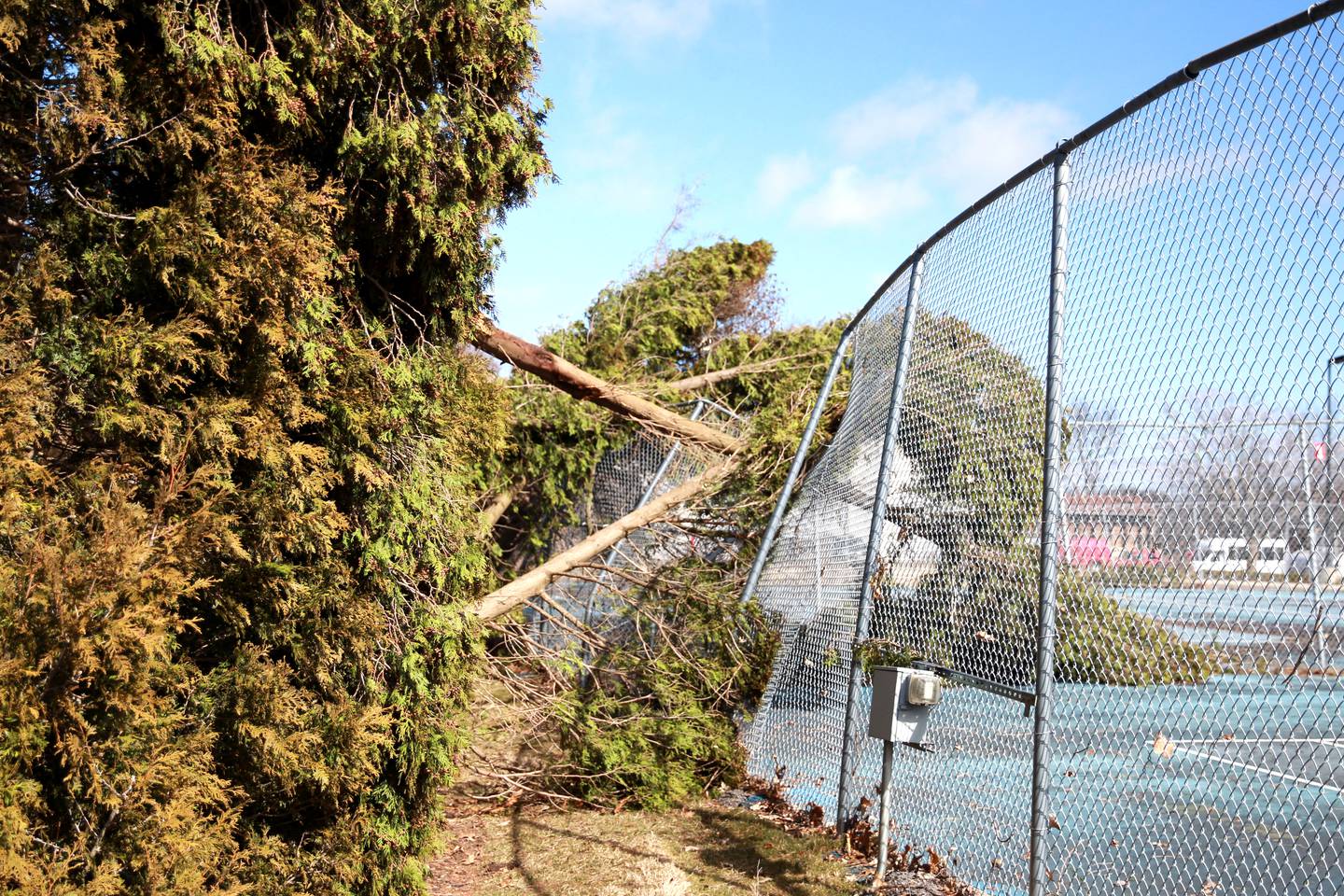 Trees, signs and fences were damaged on the Waubonsee Community College campus in Sugar Grove on Wednesday, Feb. 28, 2024 following a reported tornado the night before.