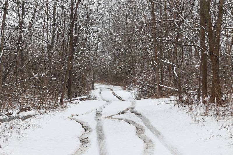 Tire tracks in the snow wind down a trail Friday, March 10, 2023, at Shabbona Lake State Park in Shabbona. Snow over night in DeKalb County resulted in a dusting to four inches depending on where you were at.