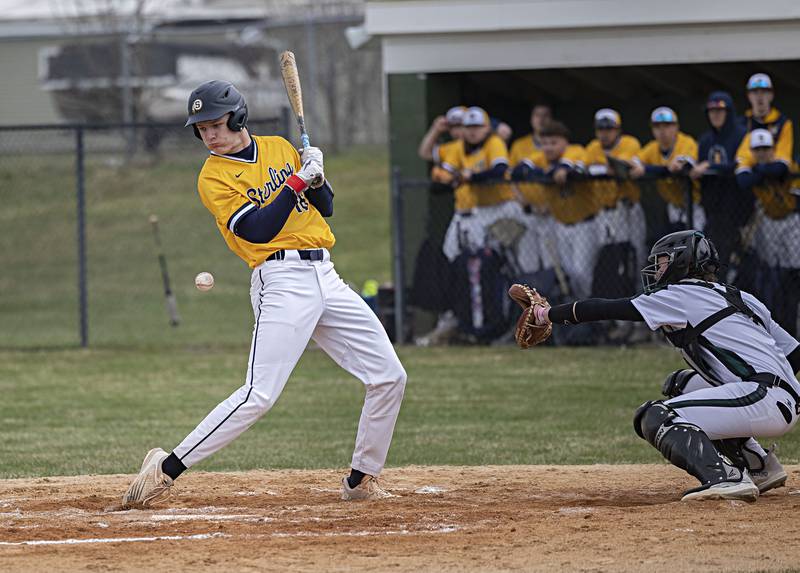 Sterling’s Garrett Polson is plunked with a pitch to load the bases against Rock Falls Friday, March 29, 2024 at Rock Falls High School.