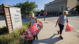 Photos: Clean up day in Dixon