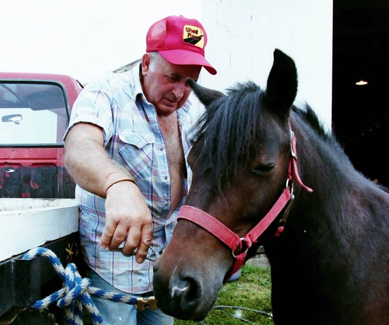 Willis Archdale preps his pony for kids pony rides during the Bureau County Fair in 1999.