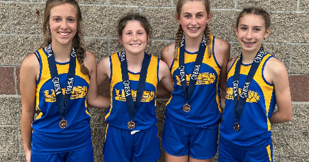 IESA State Track Princeton Logan lands five state medals Shaw Local