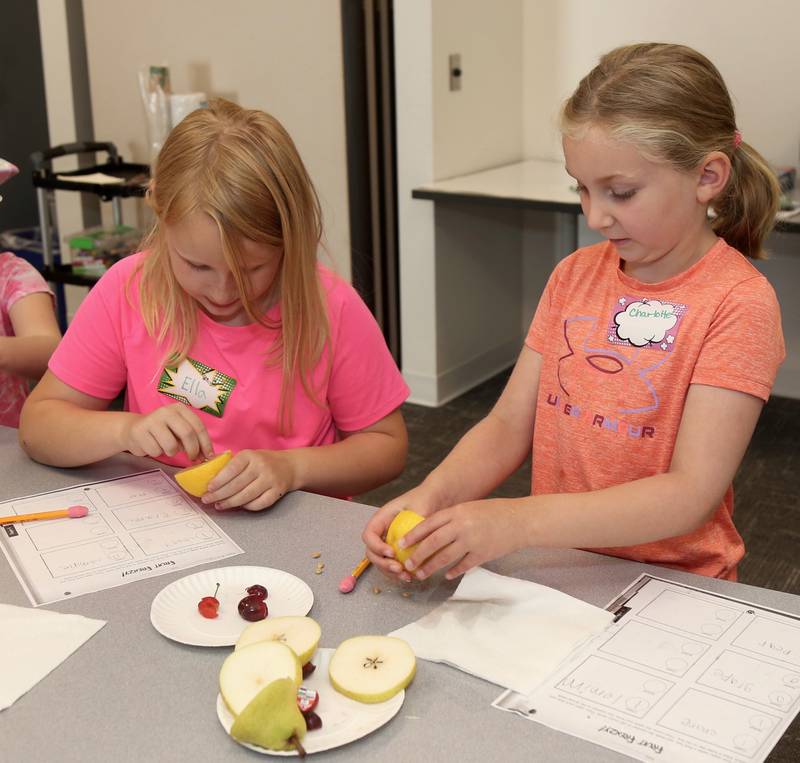 Ella Quinn and Charlotte Snyder count seeds during a Junior Explorers Program at the Town and Country Library on Friday, June 21, 2024 in Elburn.