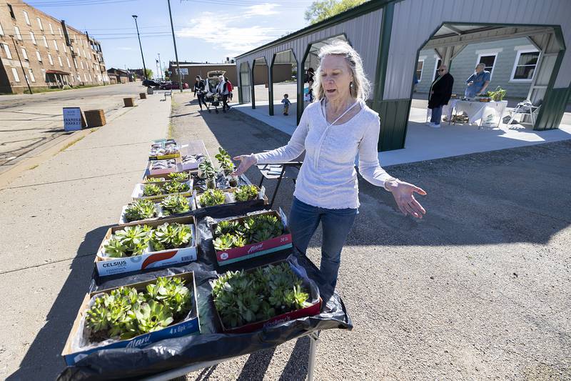 Sharon Parry talks about her abundance of hen and chick succulents for sale Wednesday, May 1, 2024 at the Rock Falls Farmers Market. The season is open at the market along with a new pavilion.