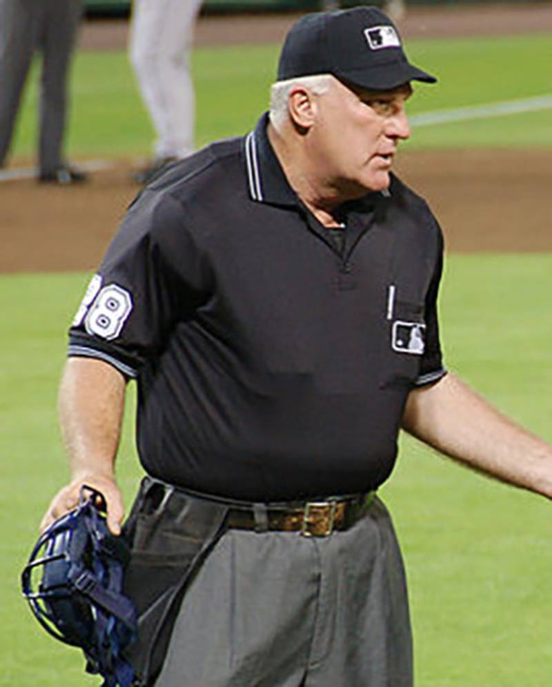 Larry Young was an umpire for Major League Baseball.