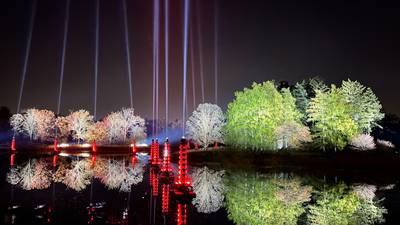 ‘Illumination: Tree Lights’ event to light up the Morton Arboretum