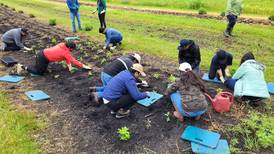 Volunteers do tree planting initiative at Midewin National Prairie 