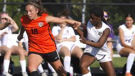 Girls soccer: 5 IHSA sectional storylines to watch in McHenry County