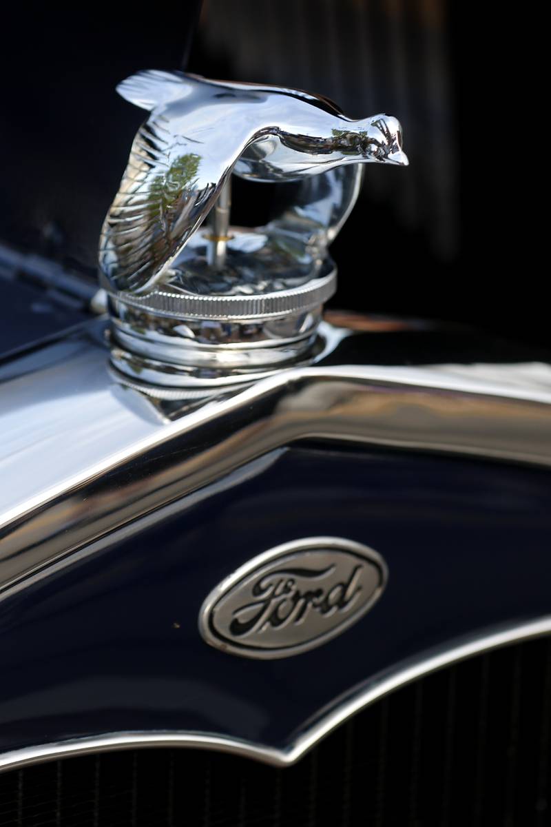 The hood ornament of a 1931 Ford Model A  on Wednesday July 10, 2024, during the Cary Cruise Night. The weekly car show hosted by the Cary-Grove Area Chamber of Commerce draws about 125 cars and trucks each week. The event runs weekly on Wednesday through the end of August.