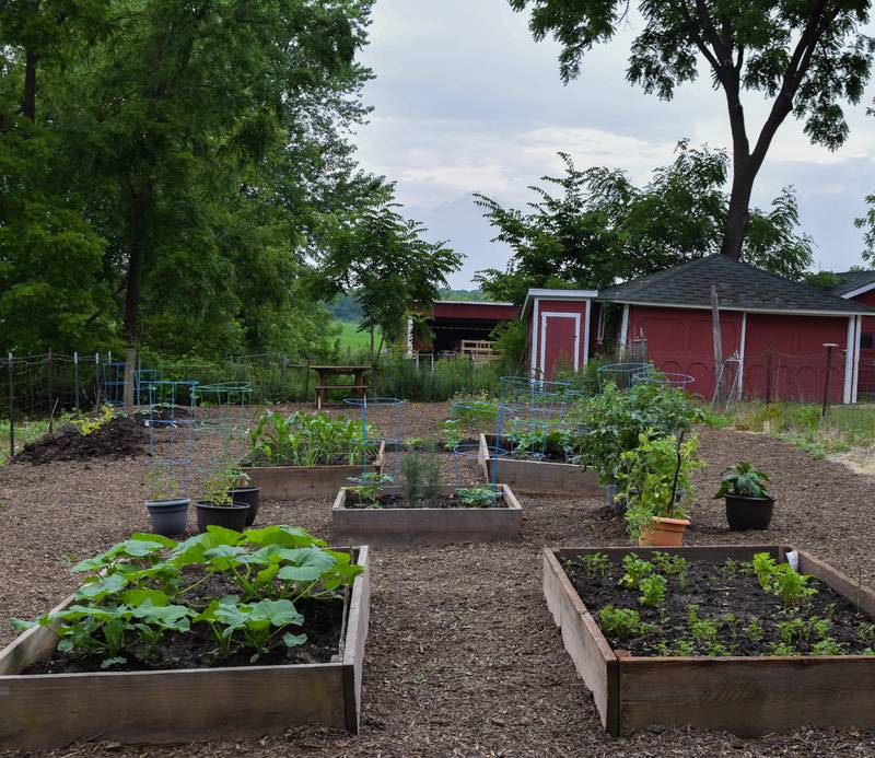 Avid farmer Kennedy works to improve Primrose Farm's kitchen garden and is looking for volunteers to help with the gardening.