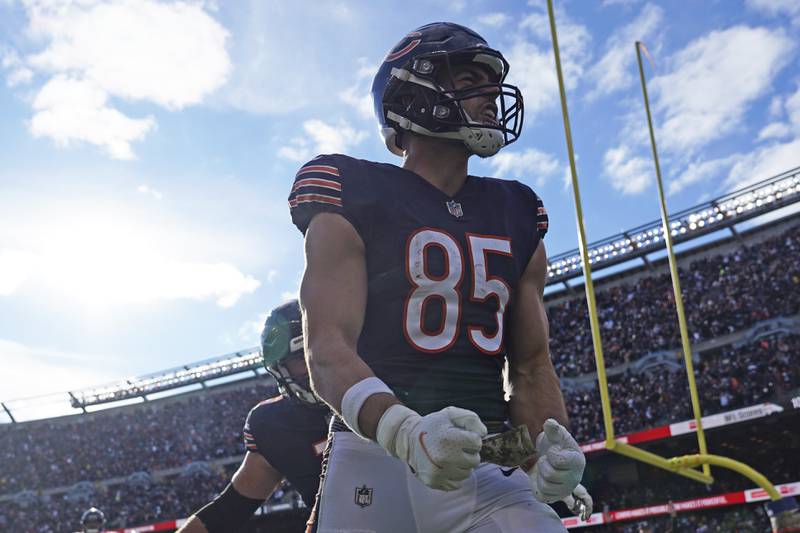 Chicago Bears tight end Cole Kmet celebrates his touchdown against the Detroit Lions on Sunday, Nov. 13, 2022, in Chicago.