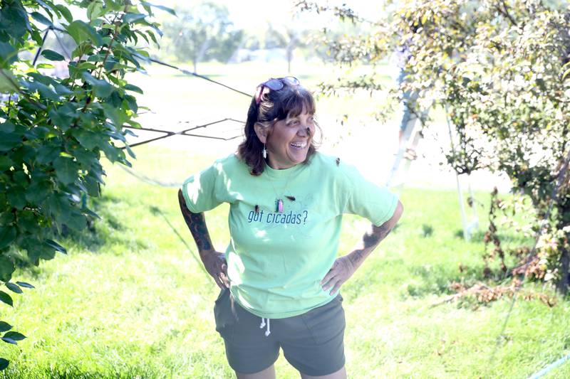 Seventeen years ago, North Aurora resident Bettina Sailer felt cheated when her yard did not buzz with the sound of 17-year cicadas. She went to other areas of the state where cicadas were plentiful and brought them back to her yard. With her yard facing a similar lack of cicadas this year, she has been doing the same thing and now has more than 4,000 cicadas in her yard.