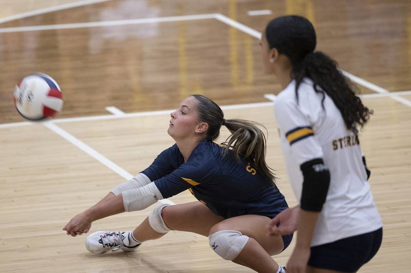 Sterling’s Macy Anderson digs the ball Tuesday, Sept. 10, 2024, against Moline.