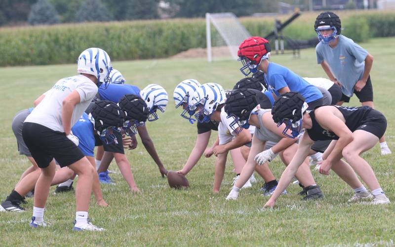 Members of the Hall football team run drills during the first day of practice on Monday, Aug. 12, 2024 at Hall High School.