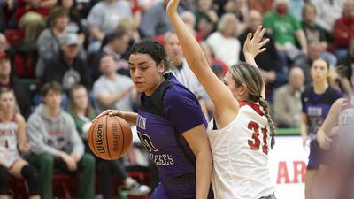 The 2023-24 SVM Girls Basketball All-Area Team