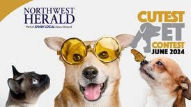 McHenry County’s June Cutest Pet Contest