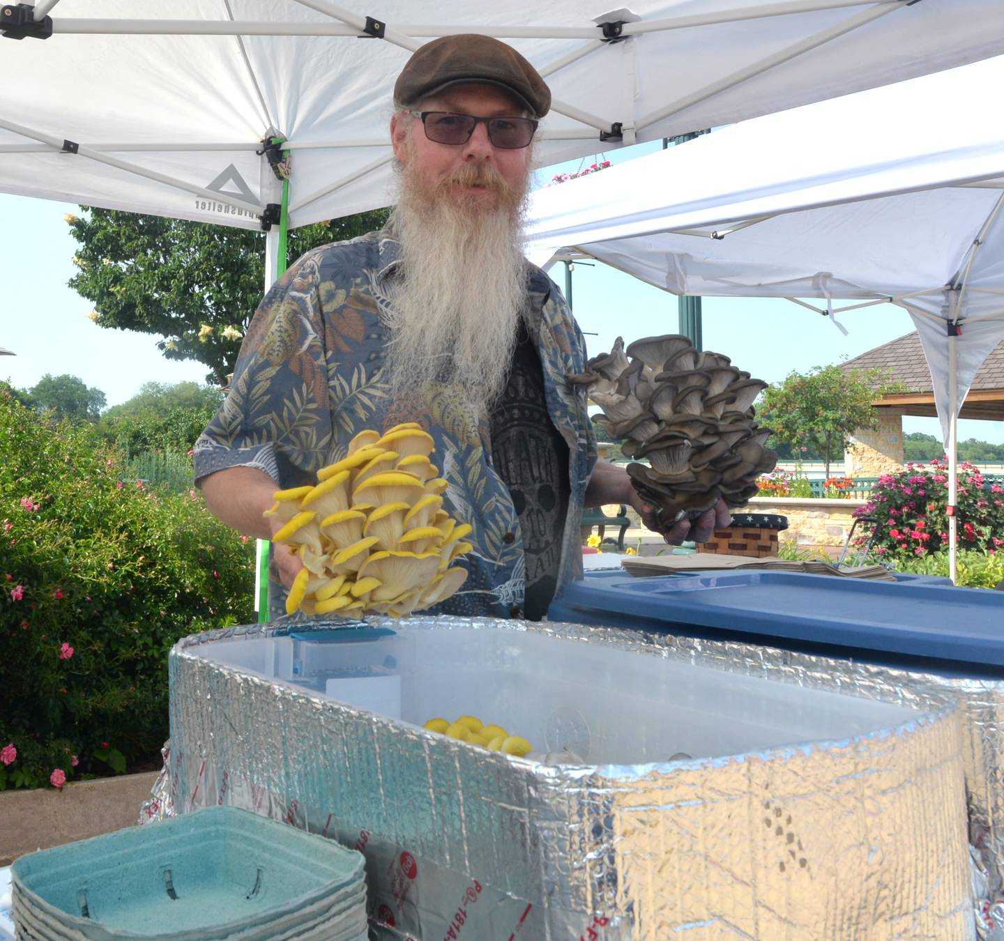 William Thomas of Amboy shows two of his gourmet mushrooms he had for sale at the Dixon City Market on Wednesday, June 7, 2023.