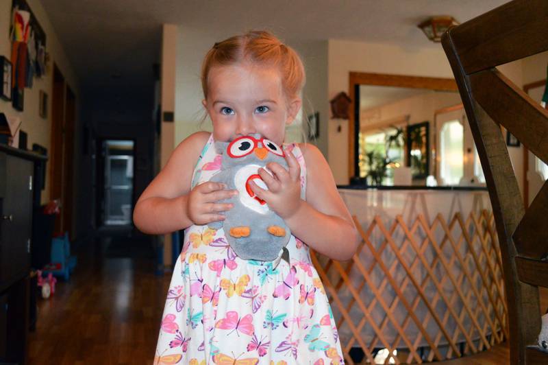 Aislynn Skinner, 4, of Oregon, holds a stuffed owl she got from the American Heart Association in her home on Sept. 6, 2023. Aislynn, who was diagnosed with a critical congenital heart defect in utero, was selected as an American Heart Association Community Youth Heart Ambassador for the 2023-24 school year.