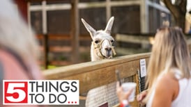 5 things to do around McHenry County: Randall Oaks Zoo opens, story time with mini therapy horses