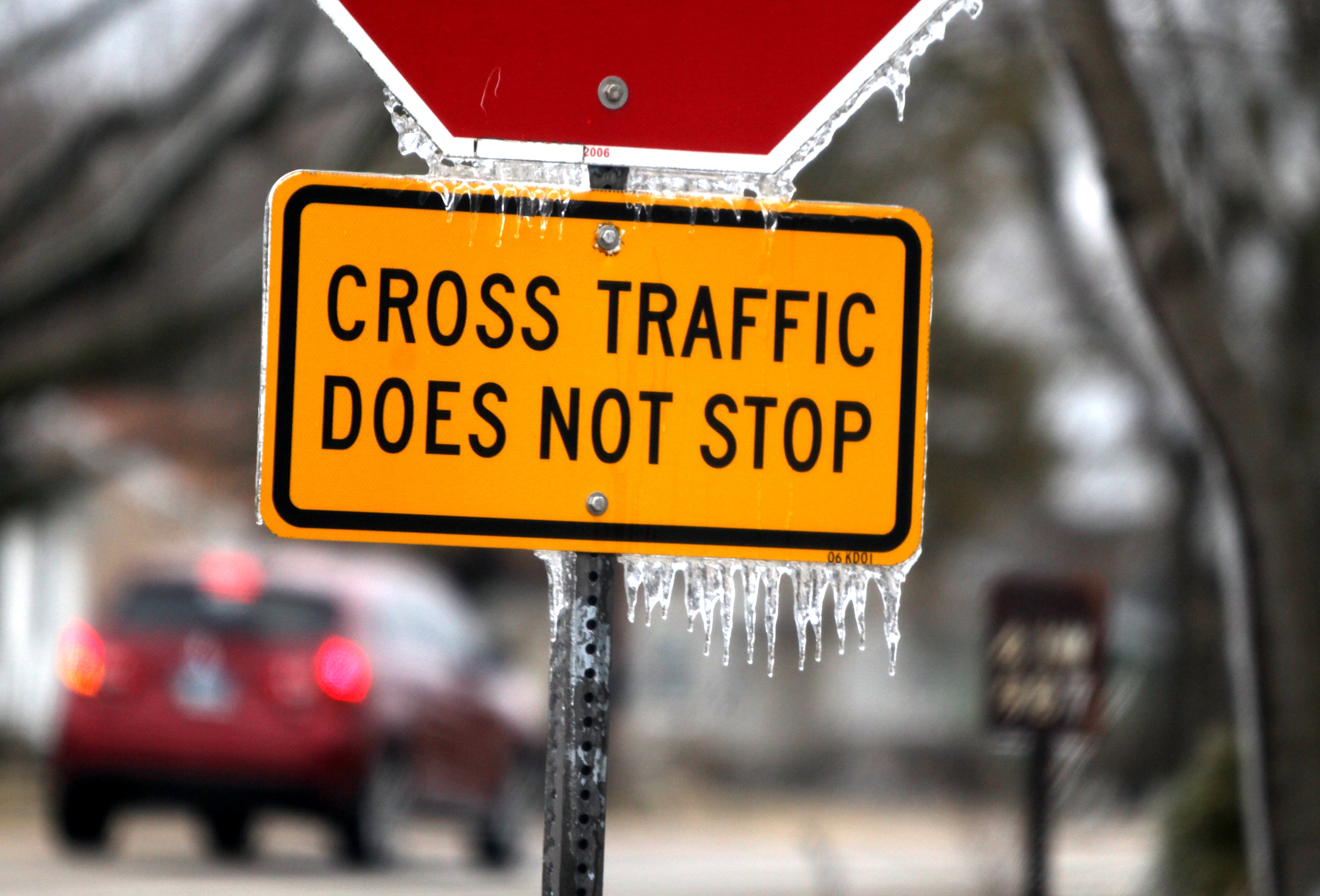 Photos: Ice covers trees in western Kane County