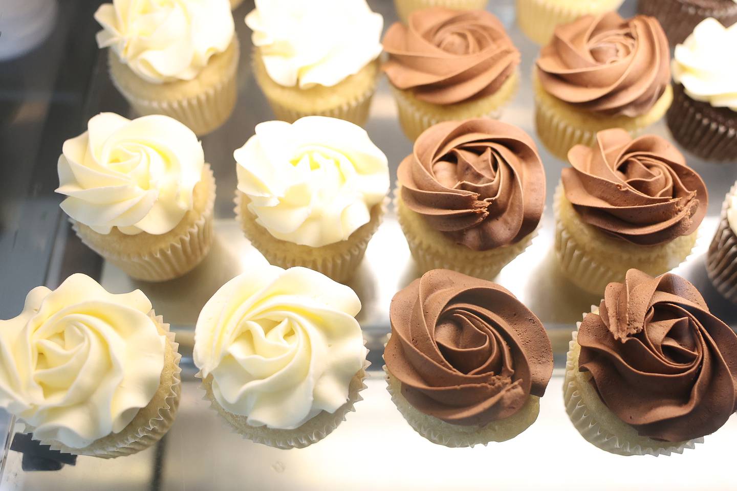 Cupcakes sit in the display case at Biteable Baked Goods in downtown Lockport on Wednesday, Oct. 18.