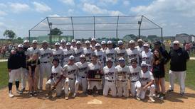 Baseball: McHenry rolls past Huntley for Class 4A Hampshire Sectional title