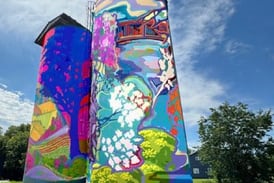 Silos in downtown Oswego to get splash of color as part of mural project