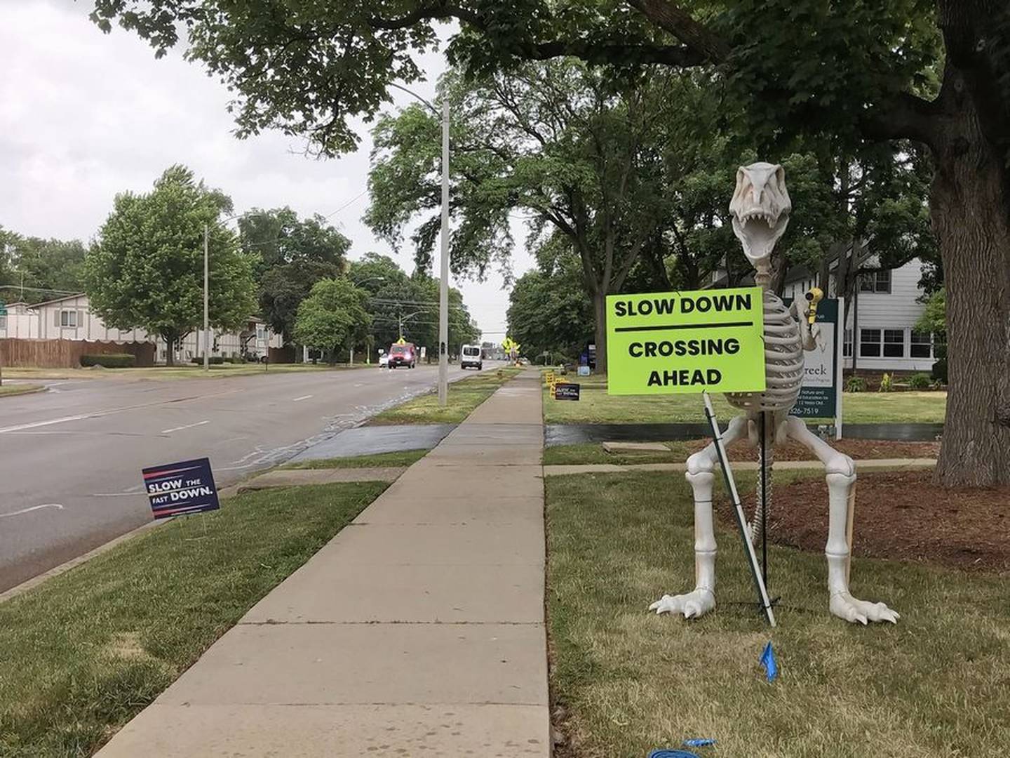 The Mill Creek Early Child Center has erected this dinosaur, on northbound Batavia Avenue, warning drivers they are approaching a crosswalk at Union Avenue in Batavia.