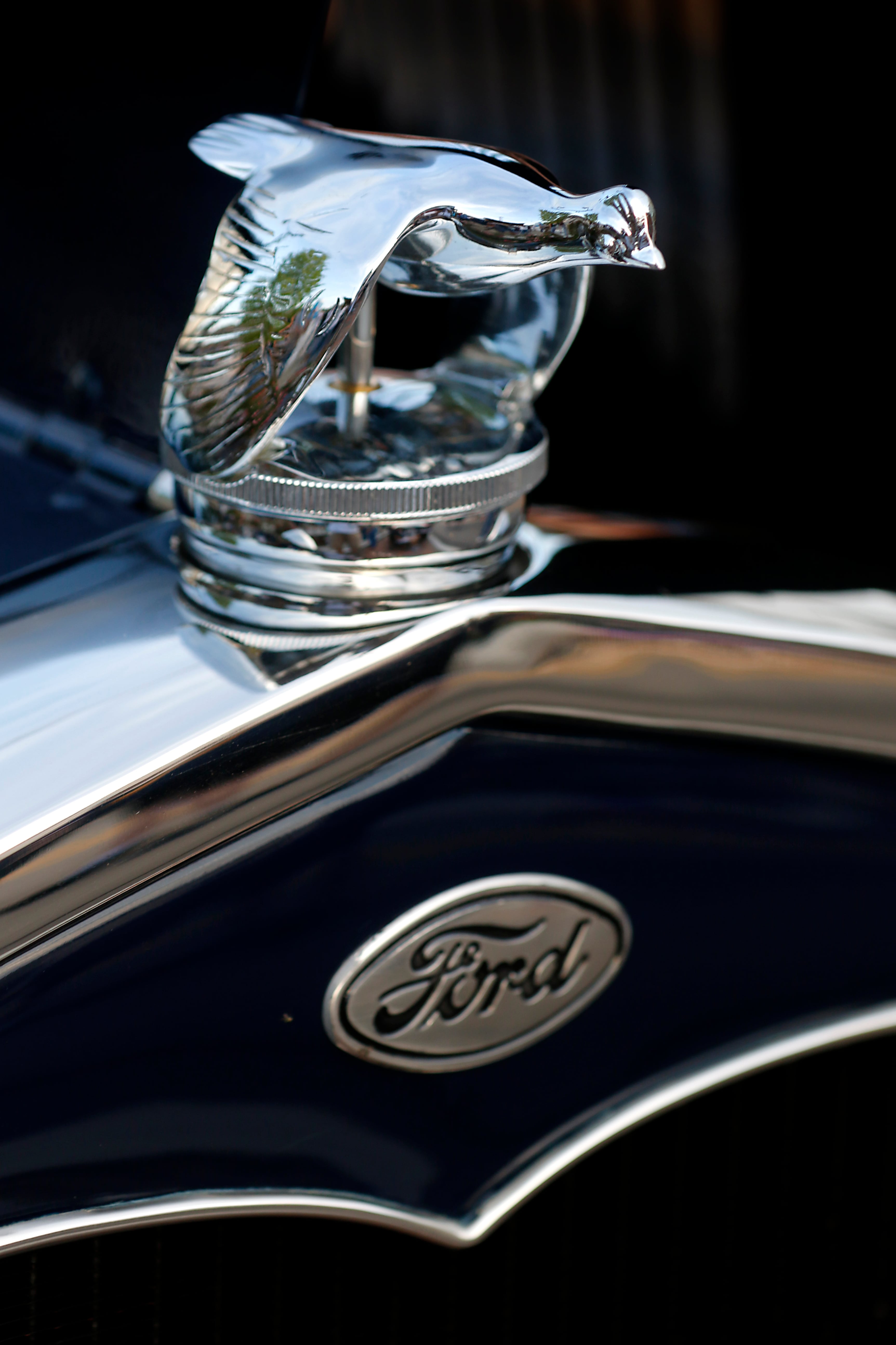 The hood ornament of a 1931 Ford Model A  on Wednesday July 10, 2024, during the Cary Cruise Night. The weekly car show hosted by the Cary-Grove Area Chamber of Commerce draws about 125 cars and trucks each week. The event runs weekly on Wednesday through the end of August.