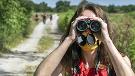 Midewin National Tallgrass Prairie in Wilmington invites community to virtual listening session