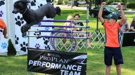 The Dynamo Dogs to perform at the Marshall-Putnam Fair