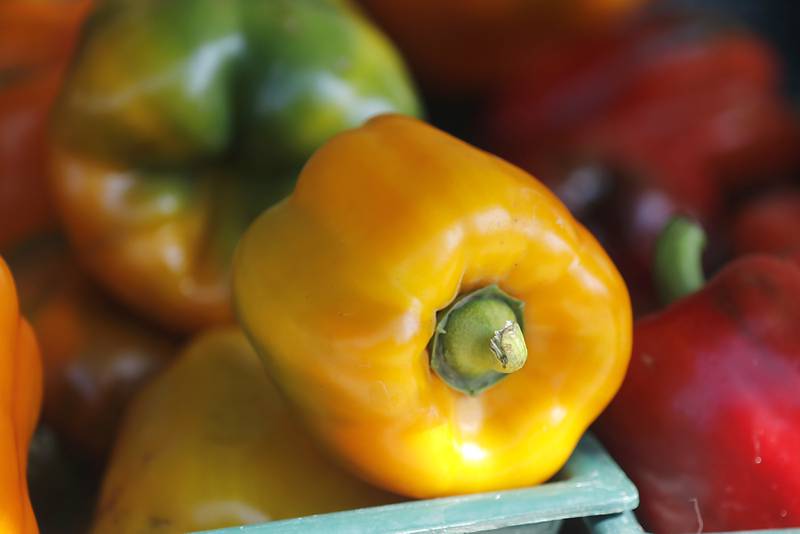 Peppers for sale on Tuesday, Aug. 27, 2024, from the Van Bergen’s Country Market booth during the Summer Woodstock Farmers Market around the Historic Woodstock Square. People were able to shop from over 40 of their favorite farms & producers for in-season food fresh produce, dairy, meats, breads, baked goods, spices, herbs, pasta, flowers and more.