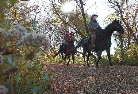 Lowell Park has self-guided Halloween Hike tour