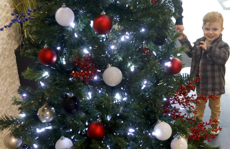 Torn Burke, 2, of  McHenry looks at the Blackhawk Bank is becoming First Mid Bank & Trust tree on Thursday, Nov. 16, 2023. The tree is part of the Commerce Festival of Trees at the McHenry Recreation Center.