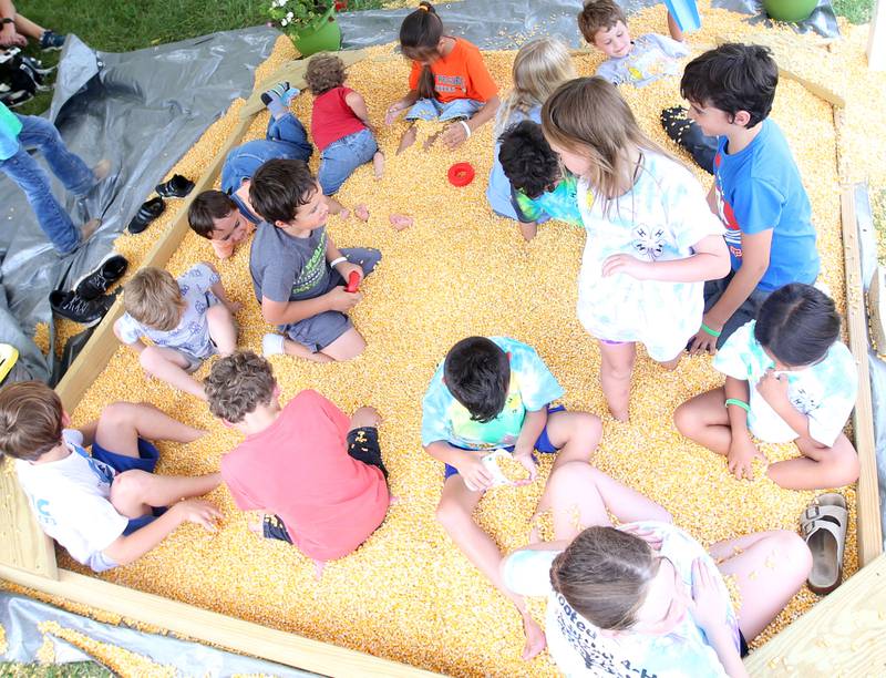 Kids play in corn kernels during the La Salle County 4-H Fair on Thursday, July 11, 2024 in Ottawa.