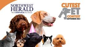 McHenry County's September Cutest Pet Contest