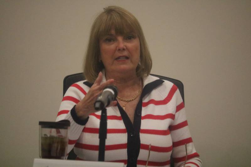 DeKalb 2nd Ward Alderwoman Barb Larson speaks at the June 10, 2024 meeting of the DeKalb City Council.