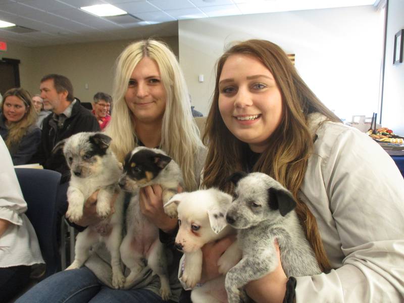 Kendall County Animal Control Director Taylor Cosgrove, left, and kennel technician Brianna Falk hold cattle dog mixed breed puppies at the April 18, 2023 County Board meeting.