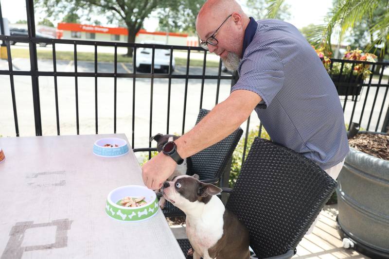 General Manager of McBride’s on 52 Sean Mahoney feeds his Boston terrier Phoebe on Wednesday, August 21, 2024 in Joliet.