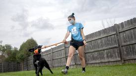 After surge of pandemic adoptions, McHenry County animal shelters are filling with adoptable pets 