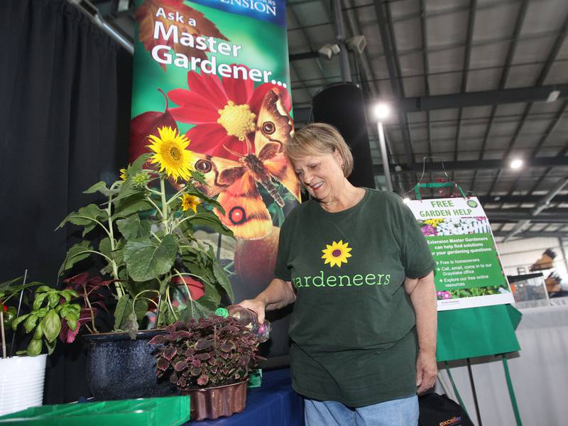 Betty Lawler, of Volo, master gardener, waters some flowers as she helps to set up the University of Illinois Extention, Lake County booth in the Expo Hall before the start of the Lake County Fair on Tuesday, July 25th at the Lake County Fairgrounds in Grayslake. The fair runs from July 26th-30th.
Image by Candace H. Johnson for Shaw Local News Network