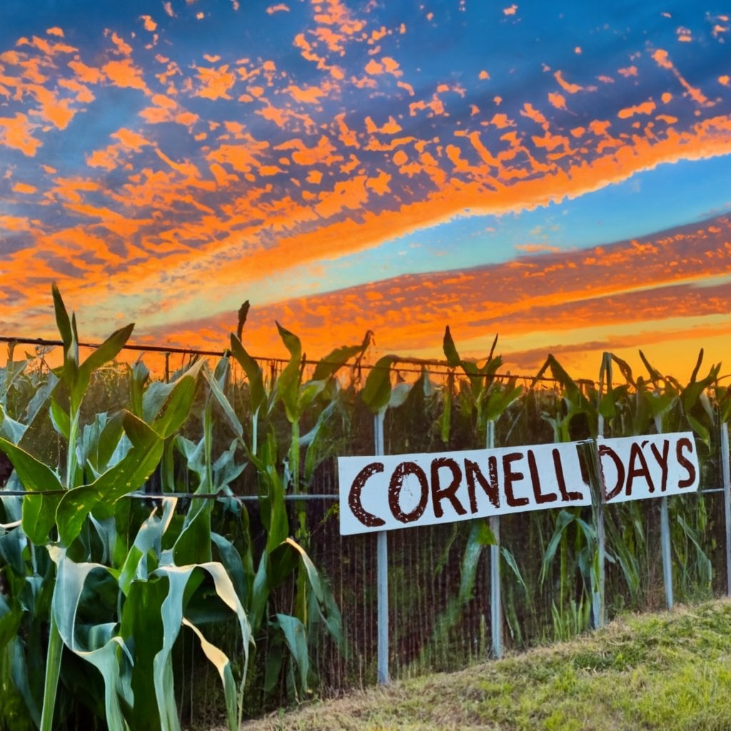 Cornell Days is already preparing for this years annual celebration and the planning committee is seeking out vendors.