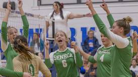 Girls volleyball: Seneca snaps streak in 3-set win over Newark