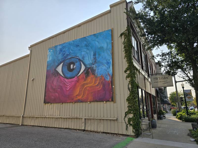 A new mural, "Waves of Emotion," was put up Wednesday, Sept. 11, 2024, at 229 Estates in downtown Ottawa. The mural was created by Jeremy Johnson. Materials and installation was done by Marseilles Sheet Metal.