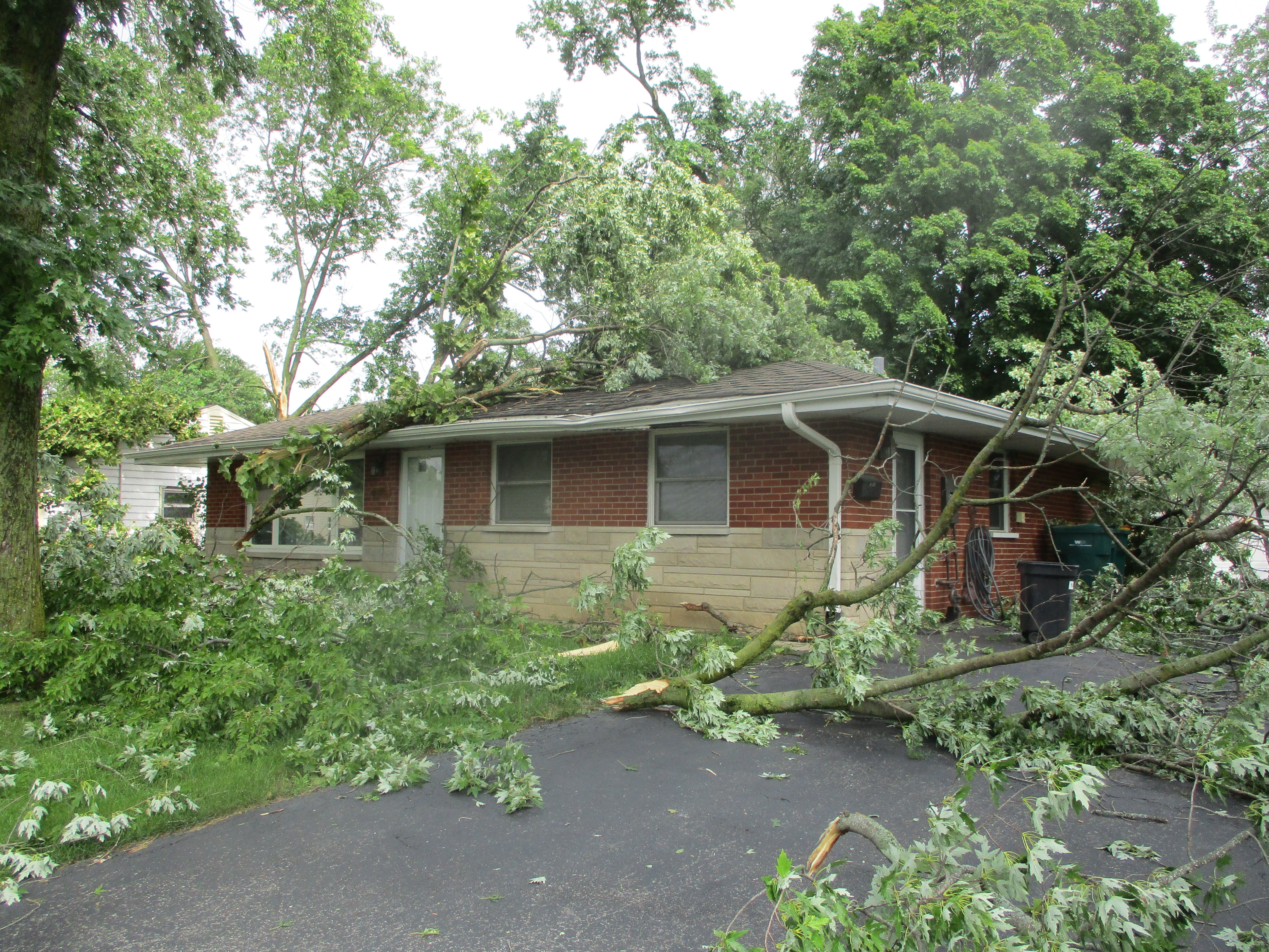 A tree limb lies on the roof of a house on Benedict Avenue in the Marycrest subdivision, the neighborhood that sustained the most damage in Joliet from the Monday night storm. July 16, 2024