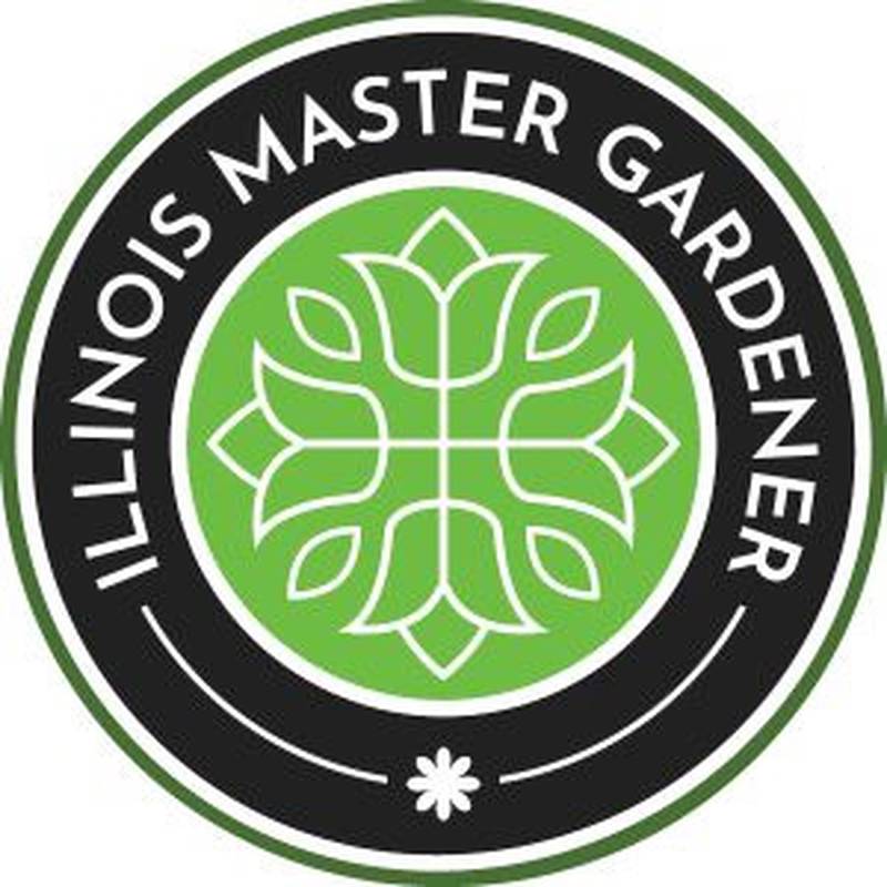 Master Gardeners research topics and help identify problems and find solutions about insects, trees, shrubs, plants, vegetables, fruits, gardens, lawns, and more.