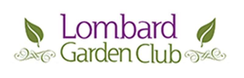 The Lombard Garden Club has announced speaker Heather Prince will present “Rain Gardens 101″ at its October 25, 2024, meeting.