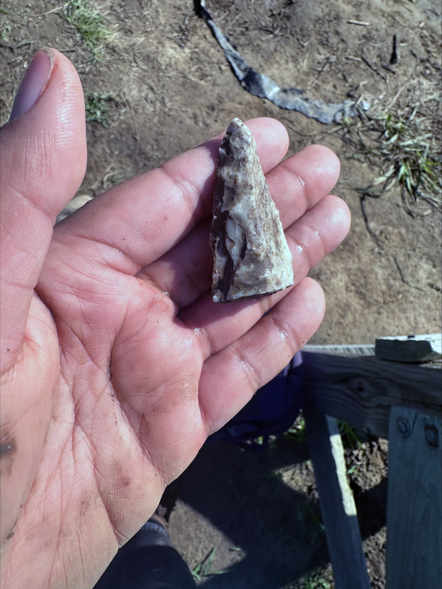 On her last day, Meagan uncovered a stone blade that archaeologists believe was a knife blade. The site in Southern Illinois was occupied by Native Americans 800 to 1,200 years ago. She said it was humbling to be the first to touch something that lay untouched since its last use centuries ago.