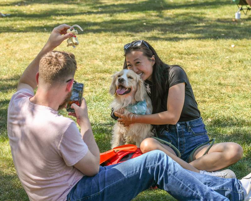 Kevin Puccinelli takes a picture of his wife Christina and their dog George, 2, half cocker spaniel and half golden retriever while attending the Dog Daze event on Sunday Sept. 14, 2024, held at Fishel Park in Downers Grove.