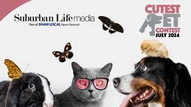 Suburban Life's July 2024 Cutest Pet Contest